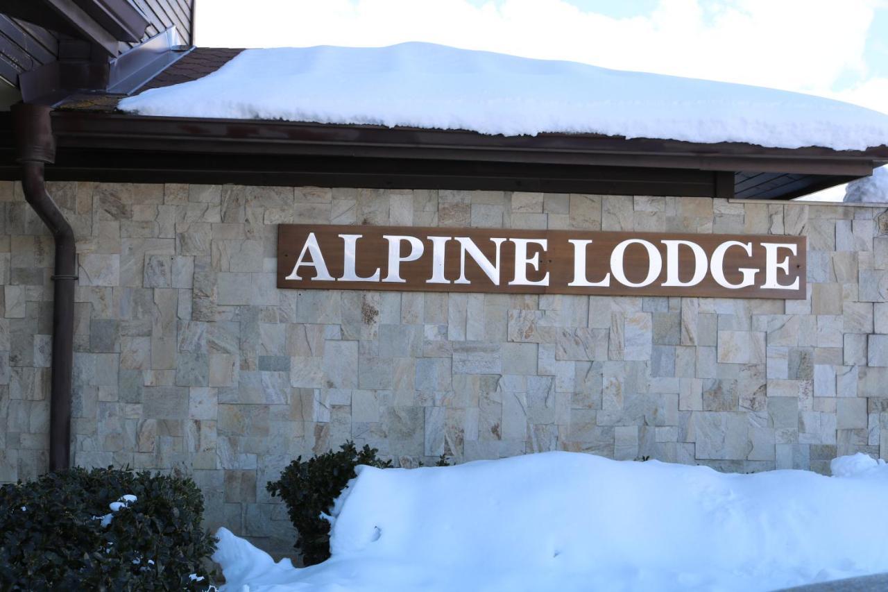 Private Apartments In Alpine Lodge 班斯科 外观 照片