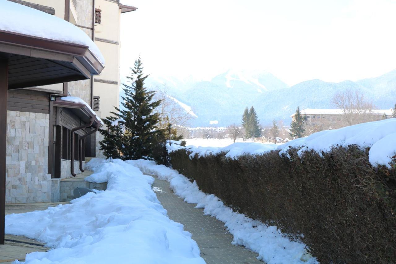 Private Apartments In Alpine Lodge 班斯科 外观 照片