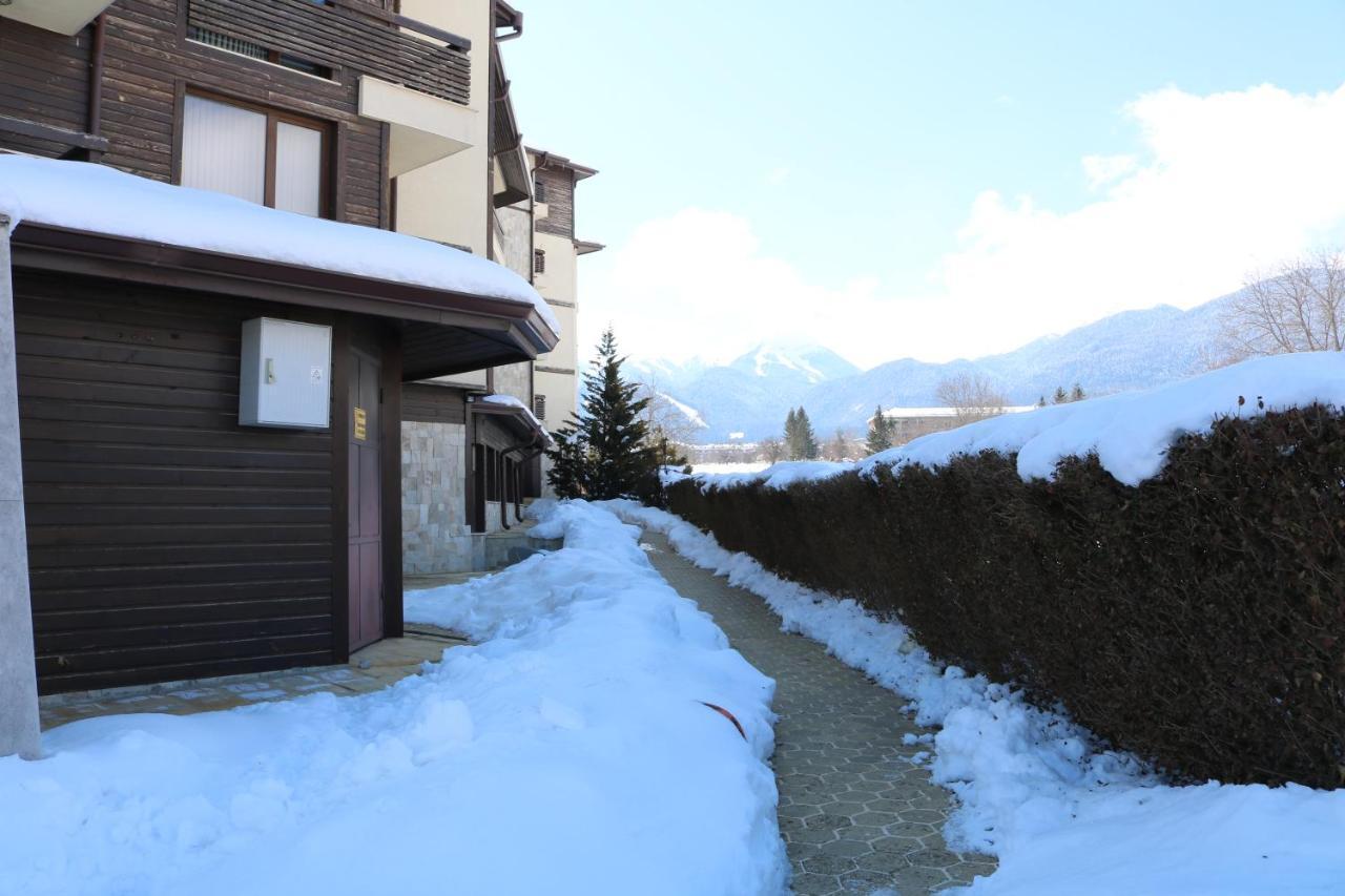 Private Apartments In Alpine Lodge 班斯科 外观 照片